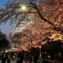 2024 여의도 벚꽃축제 한가한 장소 추천