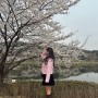 경기도 벚꽃명소, 이천 “설봉공원” 드라이브+봄 데이트 코스