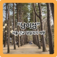 [남이섬] 서울근교 당일치기 여행지