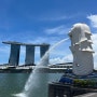 싱가포르 | 레이오버 싱가포르 팜 비치 칠리크랩 예약 방법 및 후기