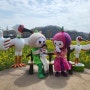 [창녕] 전국 최대규모 33만평의 창녕군 남지 <낙동강 유채꽃축제>에 올해도 다녀왔어요 :)