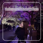 인천 수봉공원 벚꽃 개화시기 별빛축제 기간 주차 (실시간)