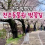 전주동물원 벚꽃 명소 무료짐보관함 위치 드림랜드 탑승기