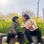 보령여행 아이와 가기좋은 “주산 벚꽃축제”