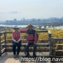 서울 성동구 응봉산 개나리꽃&살곶이다리