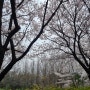 서울 나들이 성수동 서울숲