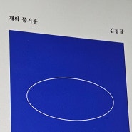 김청귤 판타지 로맨스 소설 <재와 물거품> 독후감 리뷰
