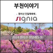 부천이야기 - 원미산 진달래동산 [부천/