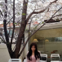연남동) 벚꽃한그루 '샌드스톤커피랩' 카페