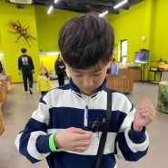 경기도 아이와 가볼만한곳, 서울근교 여주곤충박물관 체험