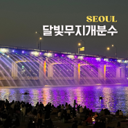 반포대교 달빛무지개분수 반포한강공원 서울 야경 명소
