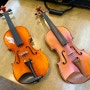 용인 악기사 성인취미 입문자 바이올린 구매 동백종합악기