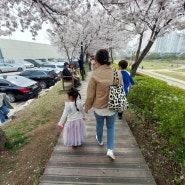 오산 벚꽃 구경 나들이 ☆ 오산천 벚꽃 축제 ☆