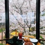 청주 벚꽃 명소 수암골 카페 풀문 환상적인 벚꽃뷰와 치즈빙수