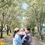 전주 아기랑 가기좋은 팔복예술공장 이팝나무 5월에 갈만한 사진명소