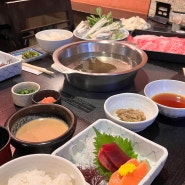 도쿄 우에노 맛집 | 샤브샤브 하치노키 가성비 코스요리맛집