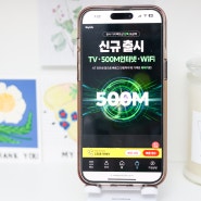 스카이라이프 TV 인터넷 결합상품 500M 신규 출시!