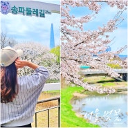 올림픽공원 벚꽃길 성내천 만개 서울 벚꽃명소 꽃비 내려요
