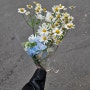 모아플라워-헤어변형용 꽃 구매 후기