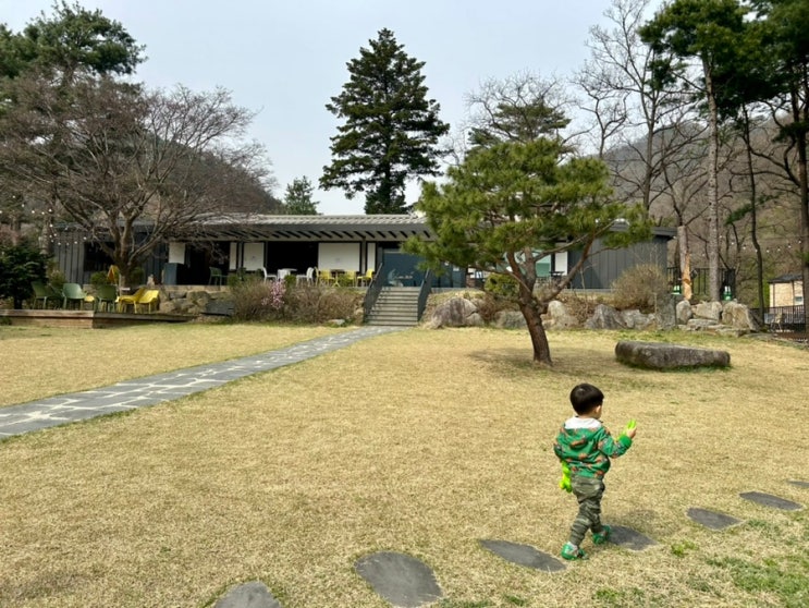 [경기/가평] 도선재 (ft. 고양이 있는 키즈프렌들리 평양냉면...