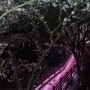나주 벚꽃 야간 구경, 한수제 물레길