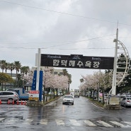 제주 씽씽대여샵 함덕점 전기자전거와 스쿠터로 함덕해수욕장 주변 라이딩 합니다.