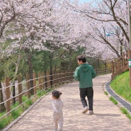 인천 논현동 호구포근린공원 벚꽃 구경 산책