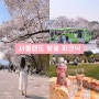서울 벚꽃명소 대공원역 벚꽃 피크닉즐기기 +주차 까마귀