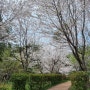 사천 두량 저수지(생활숲), 벚꽃과 피크닉을 같이 즐길 수 있는 곳
