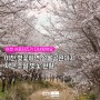 이천 벚꽃 명소 설봉공원 공사중이지만 벚꽃구경 이상무!!