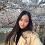 [송파둘레길] 만개한 성내천 벚꽃 길🌸 오금동-올림픽공원(북2문,팔각정)-아산병원🚲