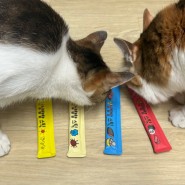 고양이간식 '냠냠챱챱 스틱' 다묘가정 대용량간식 추천