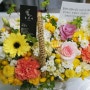 프리지아 꽃바구니 강서 발산꽃집 꽃블리