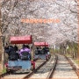 가평벚꽃가볼만한곳 강촌레일파크 가평 레일바이크 경강 레일바이크 벚꽃터널