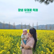 창녕 남지 유채꽃 축제 4월 가볼만한 곳 남지체육공원 아기랑 꽃구경
