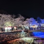대전 벚꽃구경명소 추천 공주동학사 벚꽃축제 주차및오는길꿀팁