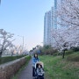 D+655 어정쩡 청라호수공원 벚꽃구경, 돌발진, 열감기, 청라일요일소아과 방문기