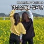 경주 분황사 유채꽃 실시간