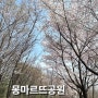 서울 벚꽃 가볼만한곳 작은 프랑스 몽마르뜨공원