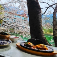 원주 벚꽃명소 브런치 카페 - 눈앞에서 벚꽃과 즐기는 커피와 브런치