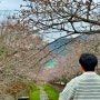 2024 진해군항제 벚꽃축제 명소 경화역 여좌천 진해루 개화상태
