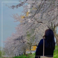 [Daily 121] 벚꽃구경 : 여수,순천,광주벚꽃명소