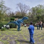 [제주 조천읍] 포레스트 공룡사파리 리뉴얼 24년 4월 (내돈내산)