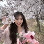 과천 렛츠런파크 벚꽃명소 (24.4.6 토요일)