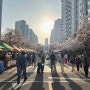 [청주] 벚꽃축제 야시장 개최, 오창 산단 우림 1차