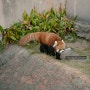 고베 가볼만한곳 : 시립 오지동물원 강추! 1탄 입장권, 시간, 가는 방법