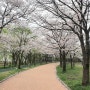 아이들과 나들이 가기 좋은/벚꽃길이 예쁜 오송호수공원