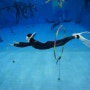 대구 프리다이빙 체험 [엔엔엔 프리다이빙] 두류수영장 다이빙풀 / 프리다이빙 / 실내체험