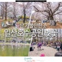 경기도 일산 가볼만한곳 아이와 일산 여행 일산호수공원 벚꽃 명소