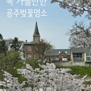 대전근교 공주 벚꽃명소 (계룡산 보다 여기로!)